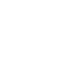 Bovis